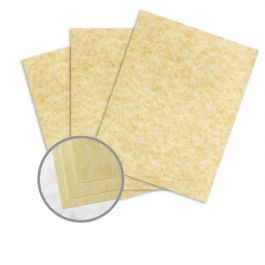 Parchment Paper in Any Color & Size
