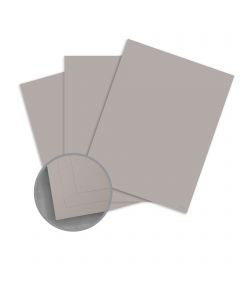 CLASSIC Stipple Cool Gray Card Stock - 26 x 40 in 80 lb Cover Stipple 300 per Carton