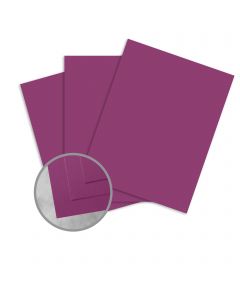 Curious Skin Purple Paper - 27 1/2 x 39 3/8 in 91 lb Text Skin 200 per Package