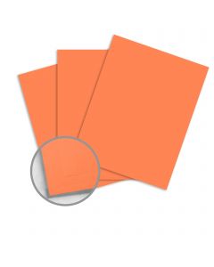 Earth Choice Colors Multipurpose Salmon Paper - 8 1/2 x 11 in 20/50 lb Writing/Text Smooth 30% Recycled 500 per Ream