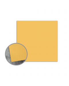 Flavours Gourmet Carmelized Mustard Flat Cards - No. 5 1/2 Square (5 1/2 x 5 1/2) 12 pt Cover Smooth 25 per Box