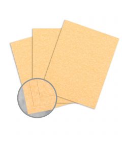 Parchtone Relic Gold Card Stock - 8 1/2 x 11 in 65 lb Cover Semi-Vellum 250 per Package